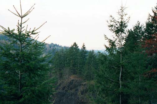 USA WA SnoqualmieFalls 2000NOV12 009