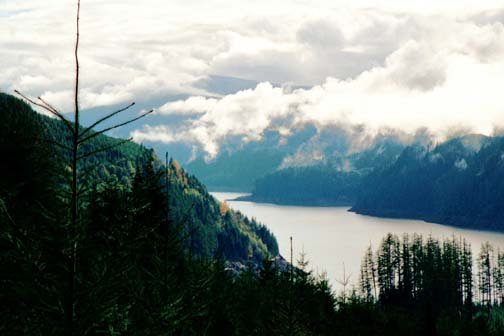 USA WA SpiritLake 2000NOV09 009