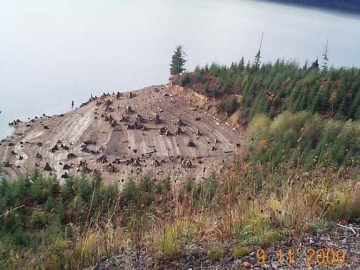 USA WA SpiritLake 2000NOV09 018