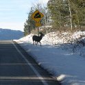 USA WY TetonPass 2004NOV02 009 : 2004, 2004 - Yellowstone Travels, Americas, North America, November, Teton Pass, USA, Wyoming