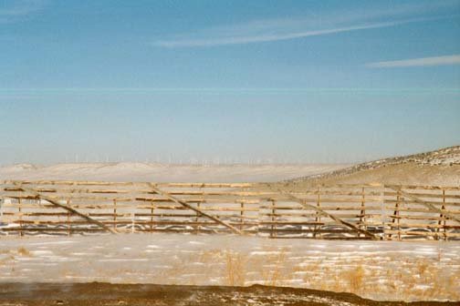 USA WY Wagonhound 2002MAR03 002