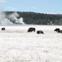 USA WY YellowstoneNP 2004NOV01 LowerGeyserBasin 006 : 2004, 2004 - Yellowstone Travels, Americas, Lower Geyser Basin, National Park, North America, November, USA, Wyoming, Yellowstone