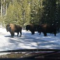 USA WY YellowstoneNP 2004NOV01 UpperFalls 001 : 2004, 2004 - Yellowstone Travels, Americas, National Park, North America, November, Upper Falls, USA, Wyoming, Yellowstone