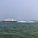 AS CHN SC HKG NEW ISL Zhujiang 2017AUG30 RiverEstuary 002  That's not to say there wasn't a " Wot Tha Sow " moment! : - DATE, - PLACES, - TRIPS, 10's, 2017, 2017 - EurAsia, Asia, August, China, Day, Eastern, Hong Kong, Hong Kong–Zhuhai–Macau Bridge, Islands, Month, New Territories, River Estuary, South Central, Wednesday, Year, Zhujiang