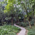AS CHN SW SIC LES Emeishan 2017AUG16 001  I spent the best part of the afternoon puttering around and checking out  " Emeishan City " . : 2017, 2017 - EurAisa, Asia, August, China, DAY, Eastern Asia, Emeishan, Leshan, Sichuan, Southwest, Wednesday
