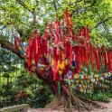 AS CHN SW SIC LES Emeishan 2017AUG16 006 : 2017, 2017 - EurAisa, Asia, August, China, DAY, Eastern Asia, Emeishan, Leshan, Sichuan, Southwest, Wednesday