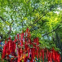 AS CHN SW SIC LES Emeishan 2017AUG16 007 : 2017, 2017 - EurAisa, Asia, August, China, DAY, Eastern Asia, Emeishan, Leshan, Sichuan, Southwest, Wednesday