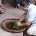AS CHN SW SIC LES Sanguzhuang 2017AUG17 018 : 2017, 2017 - EurAisa, Asia, August, China, DAY, Eastern Asia, Leshan, Sanguzhuang, Sichuan, Southwest, Tea Plantation, Thursday