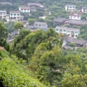 AS CHN SW SIC LES Sanguzhuang 2017AUG17 019 : 2017, 2017 - EurAisa, Asia, August, China, DAY, Eastern Asia, Leshan, Sanguzhuang, Sichuan, Southwest, Tea Plantation, Thursday