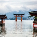 JPN HIR Miyajima 2012NOV05 ItsukushimaShrine 004 : 2012, 2012 - Pho, Footy & Sushi Tour, 2012 Fukuoka Golden Oldies, Alice Springs Dingoes Rugby Union Football Club, Asia, Date, Golden Oldies Rugby Union, Hiroshima Prefecture, Itsukushima Island, Itsukushima Shrine, Japan, Miyajima, Month, November, Places, Region Chugoku, Rugby Union, Sports, Teams, Trips, Year