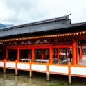 JPN HIR Miyajima 2012NOV05 ItsukushimaShrine 007 : 2012, 2012 - Pho, Footy & Sushi Tour, 2012 Fukuoka Golden Oldies, Alice Springs Dingoes Rugby Union Football Club, Asia, Date, Golden Oldies Rugby Union, Hiroshima Prefecture, Itsukushima Island, Itsukushima Shrine, Japan, Miyajima, Month, November, Places, Region Chugoku, Rugby Union, Sports, Teams, Trips, Year