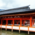 JPN HIR Miyajima 2012NOV05 ItsukushimaShrine 008 : 2012, 2012 - Pho, Footy & Sushi Tour, 2012 Fukuoka Golden Oldies, Alice Springs Dingoes Rugby Union Football Club, Asia, Date, Golden Oldies Rugby Union, Hiroshima Prefecture, Itsukushima Island, Itsukushima Shrine, Japan, Miyajima, Month, November, Places, Region Chugoku, Rugby Union, Sports, Teams, Trips, Year