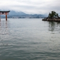 JPN HIR Miyajima 2012NOV05 ItsukushimaShrine 013 : 2012, 2012 - Pho, Footy & Sushi Tour, 2012 Fukuoka Golden Oldies, Alice Springs Dingoes Rugby Union Football Club, Asia, Date, Golden Oldies Rugby Union, Hiroshima Prefecture, Itsukushima Island, Itsukushima Shrine, Japan, Miyajima, Month, November, Places, Region Chugoku, Rugby Union, Sports, Teams, Trips, Year