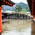 JPN HIR Miyajima 2012NOV05 ItsukushimaShrine 019 : 2012, 2012 - Pho, Footy & Sushi Tour, 2012 Fukuoka Golden Oldies, Alice Springs Dingoes Rugby Union Football Club, Asia, Date, Golden Oldies Rugby Union, Hiroshima Prefecture, Itsukushima Island, Itsukushima Shrine, Japan, Miyajima, Month, November, Places, Region Chugoku, Rugby Union, Sports, Teams, Trips, Year