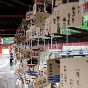 JPN HIR Miyajima 2012NOV05 ItsukushimaShrine 021 : 2012, 2012 - Pho, Footy & Sushi Tour, 2012 Fukuoka Golden Oldies, Alice Springs Dingoes Rugby Union Football Club, Asia, Date, Golden Oldies Rugby Union, Hiroshima Prefecture, Itsukushima Island, Itsukushima Shrine, Japan, Miyajima, Month, November, Places, Region Chugoku, Rugby Union, Sports, Teams, Trips, Year