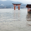JPN HIR Miyajima 2012NOV05 ItsukushimaShrine 027 : 2012, 2012 - Pho, Footy & Sushi Tour, 2012 Fukuoka Golden Oldies, Alice Springs Dingoes Rugby Union Football Club, Asia, Date, Golden Oldies Rugby Union, Hiroshima Prefecture, Itsukushima Island, Itsukushima Shrine, Japan, Miyajima, Month, November, Places, Region Chugoku, Rugby Union, Sports, Teams, Trips, Year