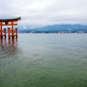 JPN HIR Miyajima 2012NOV05 ItsukushimaTorii 003 : 2012, 2012 - Pho, Footy & Sushi Tour, 2012 Fukuoka Golden Oldies, Alice Springs Dingoes Rugby Union Football Club, Asia, Date, Golden Oldies Rugby Union, Hiroshima Prefecture, Itsukushima Island, Itsukushima Torii, Japan, Miyajima, Month, November, Places, Region Chugoku, Rugby Union, Sports, Teams, Trips, Year