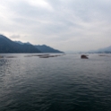 JPN HIR Miyajima 2012NOV05 002 : 2012, 2012 - Pho, Footy & Sushi Tour, 2012 Fukuoka Golden Oldies, Alice Springs Dingoes Rugby Union Football Club, Asia, Date, Golden Oldies Rugby Union, Hiroshima Prefecture, Itsukushima Island, Japan, Miyajima, Month, November, Places, Region Chugoku, Rugby Union, Sports, Teams, Trips, Year