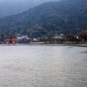 JPN HIR Miyajima 2012NOV05 005 : 2012, 2012 - Pho, Footy & Sushi Tour, 2012 Fukuoka Golden Oldies, Alice Springs Dingoes Rugby Union Football Club, Asia, Date, Golden Oldies Rugby Union, Hiroshima Prefecture, Itsukushima Island, Japan, Miyajima, Month, November, Places, Region Chugoku, Rugby Union, Sports, Teams, Trips, Year