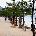 JPN HIR Miyajima 2012NOV05 012 : 2012, 2012 - Pho, Footy & Sushi Tour, 2012 Fukuoka Golden Oldies, Alice Springs Dingoes Rugby Union Football Club, Asia, Date, Golden Oldies Rugby Union, Hiroshima Prefecture, Itsukushima Island, Japan, Miyajima, Month, November, Places, Region Chugoku, Rugby Union, Sports, Teams, Trips, Year