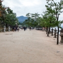 JPN HIR Miyajima 2012NOV05 014 : 2012, 2012 - Pho, Footy & Sushi Tour, 2012 Fukuoka Golden Oldies, Alice Springs Dingoes Rugby Union Football Club, Asia, Date, Golden Oldies Rugby Union, Hiroshima Prefecture, Itsukushima Island, Japan, Miyajima, Month, November, Places, Region Chugoku, Rugby Union, Sports, Teams, Trips, Year