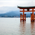 JPN HIR Miyajima 2012NOV05 026 : 2012, 2012 - Pho, Footy & Sushi Tour, 2012 Fukuoka Golden Oldies, Alice Springs Dingoes Rugby Union Football Club, Asia, Date, Golden Oldies Rugby Union, Hiroshima Prefecture, Itsukushima Island, Japan, Miyajima, Month, November, Places, Region Chugoku, Rugby Union, Sports, Teams, Trips, Year
