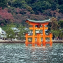 JPN HIR Miyajima 2012NOV05 033 : 2012, 2012 - Pho, Footy & Sushi Tour, 2012 Fukuoka Golden Oldies, Alice Springs Dingoes Rugby Union Football Club, Asia, Date, Golden Oldies Rugby Union, Hiroshima Prefecture, Itsukushima Island, Japan, Miyajima, Month, November, Places, Region Chugoku, Rugby Union, Sports, Teams, Trips, Year