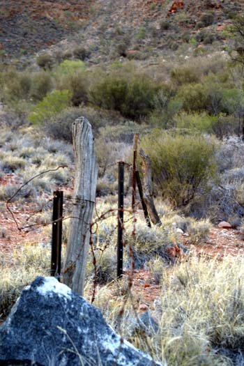 AUS NT AliceSprings 2004MAY20 007
