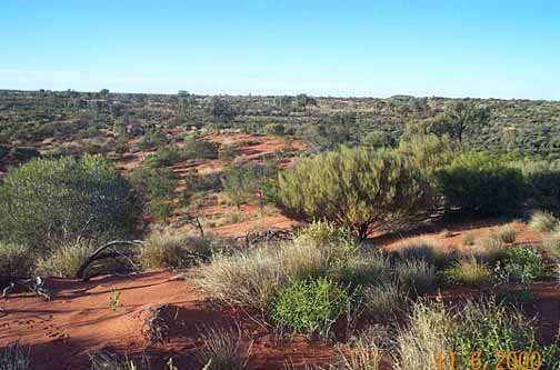 AUS NT Bundooma 2000JUN 001