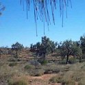 AUS NT Bundooma 2000JUN 002  The "Health Farm" only appears once a year, during the Finke Desert Race. : 2001, Australia, Bundooma, Date, June, Month, NT, Places, Year