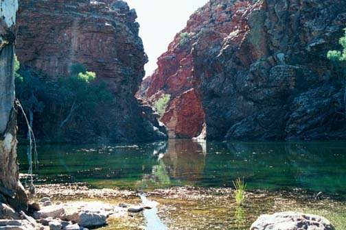 AUS NT ElleryCreekBigHole 2001JUL11 004