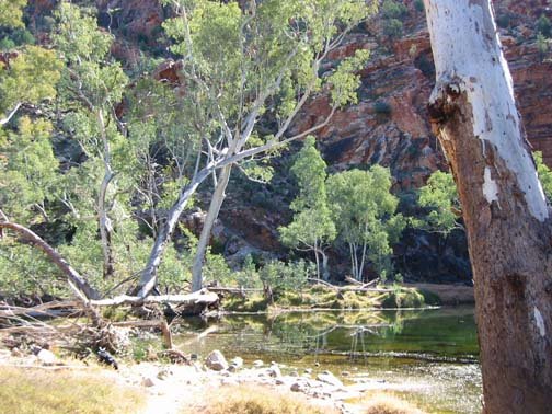 AUS NT ElleryCreekBigHole 2001JUL11 006