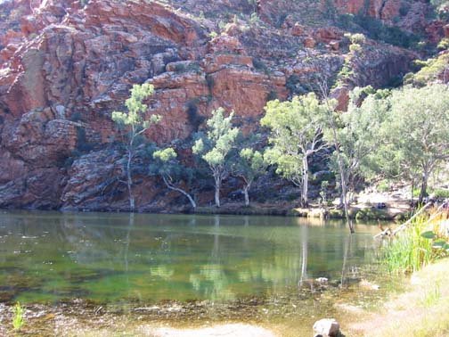 AUS NT ElleryCreekBigHole 2001JUL11 007