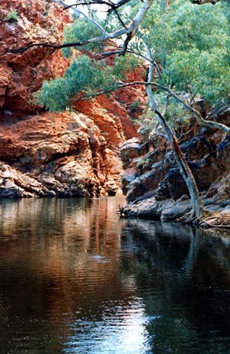 AUS NT ElleryCreekBigHole 2001JUL11 012