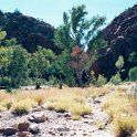 AUS NT ElleryCreekBigHole 2001JUL11 002  The whole waterhole is part of the 1766 hectare (4650 acre) Ellery Creek Big Hole Nature Park. : 2001, 2001 The "Gruesome Twosome" Australian Tour, Australia, Date, Ellery Creek Big Hole, July, Month, NT, Places, Trips, Year