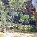 AUS NT ElleryCreekBigHole 2001JUL11 006  It's a great swimming hole, but be warned, the water can be downright freezing, especially in the mornings. : 2001, 2001 The "Gruesome Twosome" Australian Tour, Australia, Date, Ellery Creek Big Hole, July, Month, NT, Places, Trips, Year