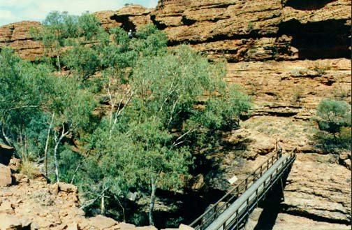AUS NT KingsCanyon 1992 011
