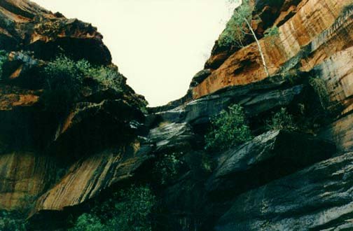 AUS NT KingsCanyon 1992 014