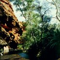 AUS NT KingsCanyon 1992 012  A desert oasis awaits you on the other side, especially after any amount of rain fall. : 1992, Australia, Date, Kings Canyon, NT, Places, Year