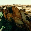 AUS NT KingsCanyon 1992 013  Apparently there are over 600 different species of native plants throughout the Watarrka National Park. : 1992, Australia, Date, Kings Canyon, NT, Places, Year