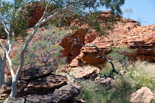 AUS NT KingsCanyon 2010OCT10 014