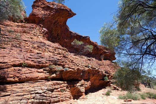 AUS NT KingsCanyon 2010OCT10 016