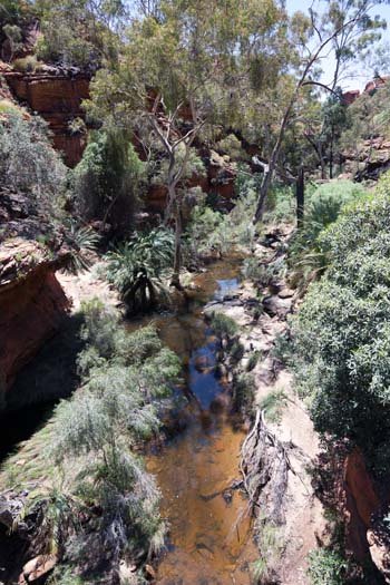 AUS NT KingsCanyon 2010OCT10 035