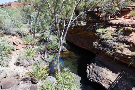 AUS NT KingsCanyon 2010OCT10 036