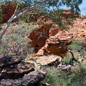 AUS NT KingsCanyon 2010OCT10 014 : 2010, 2010 - No Doot Aboot It Eh! Tour, 2010 Sydney Golden Oldies, Alice Springs Dingoes Rugby Union Football Club, Australia, Date, Golden Oldies Rugby Union, Kings Canyon, Month, NT, October, Places, Rugby Union, Sports, Teams, Trips, Year