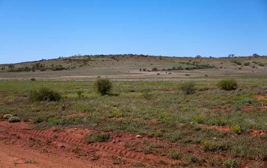 AUS NT LuritjaRoad 2010OCT10 003