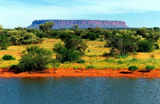 AUS NT MtConner 2001 001