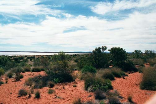AUS NT MtConner 2001JUL12 Lookout Claypan 001