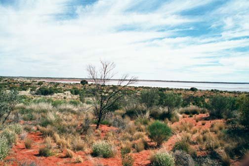 AUS NT MtConner 2001JUL12 Lookout Claypan 004