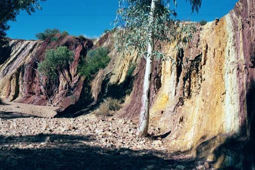 AUS NT OchrePits 2001JUL11 005